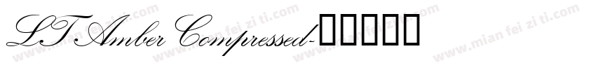 LT Amber Compressed字体转换